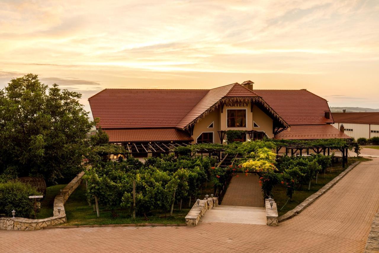 Chateau Vartely أورهي المظهر الخارجي الصورة