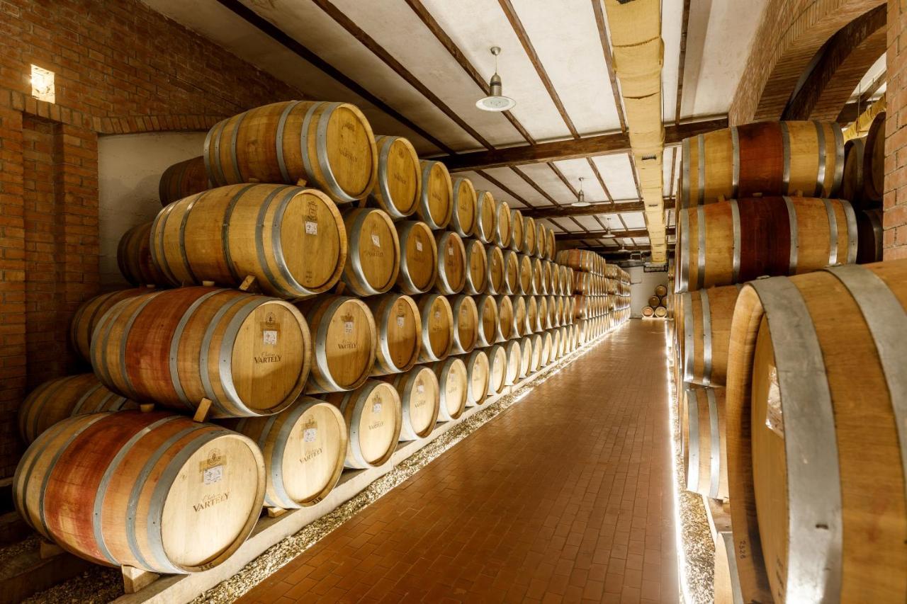 Chateau Vartely أورهي المظهر الخارجي الصورة